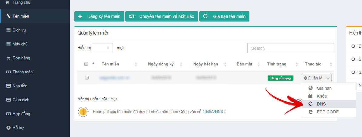 quản trị DNS domain